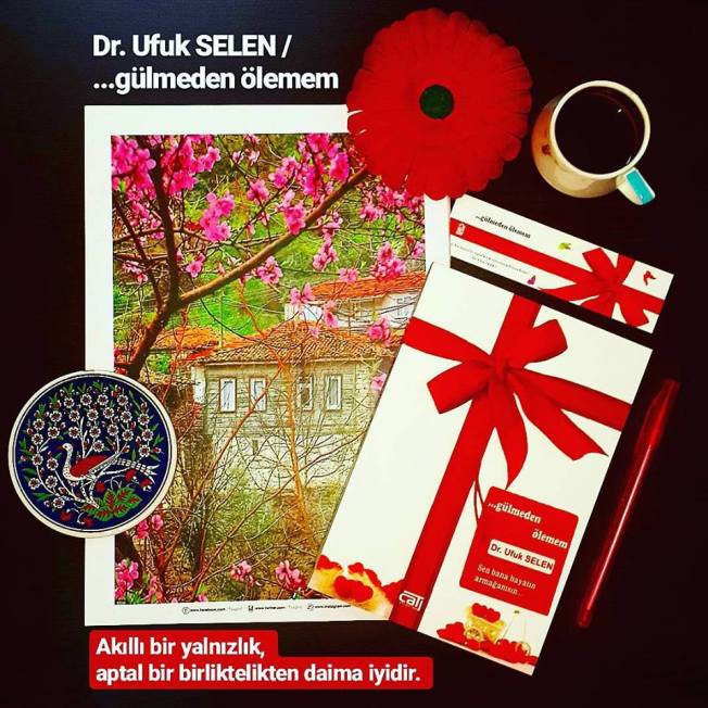 23915928_1801731306786065_8347300691823922523_n