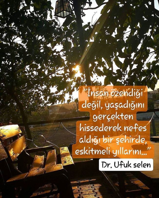 25498024_1809931245966071_4189034827545084386_n